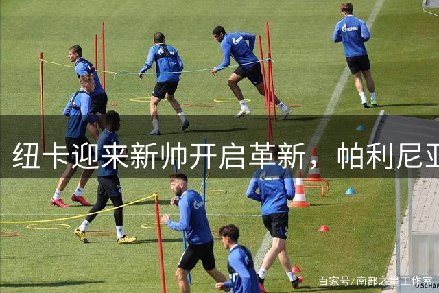 纽卡迎来新帅开启革新，帕利尼亚成引援重点